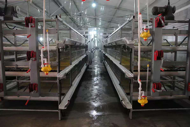 你知道肉鸡设备加料机的组成吗？？？？？