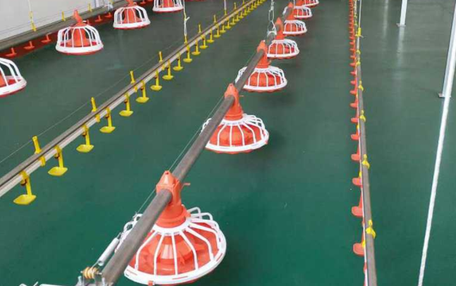 全自动养鸡设备水线的这两个问题你都知道吗？？？？？？？？