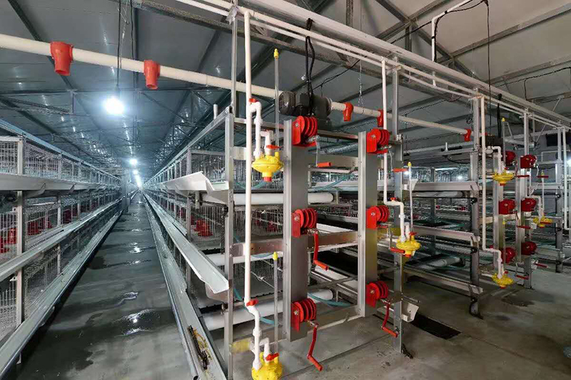 全自动养鸡设备的种类及特点你知道吗？？？？？？？？