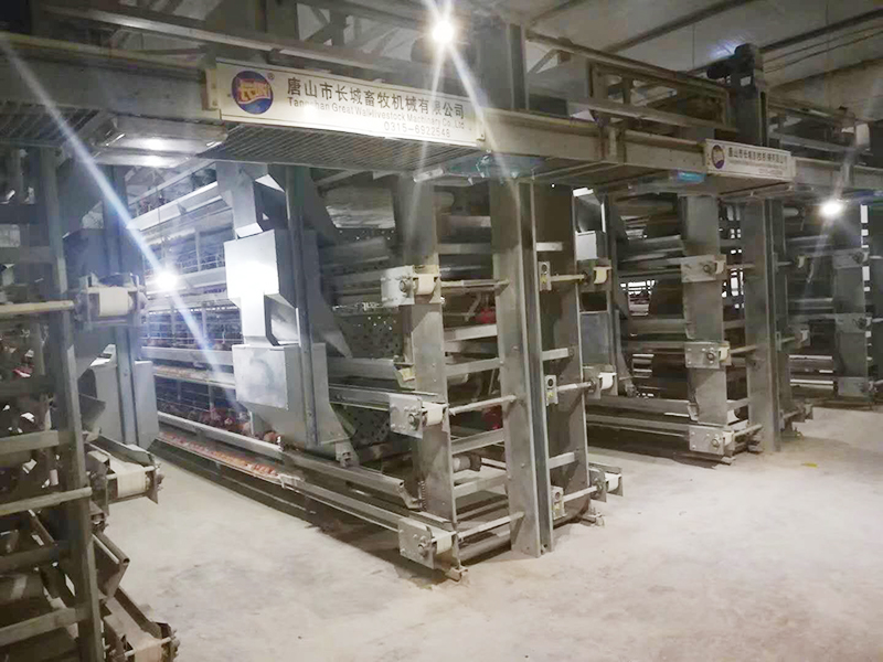 蛋鸡设备该如何进行使用呢？？？？？？？