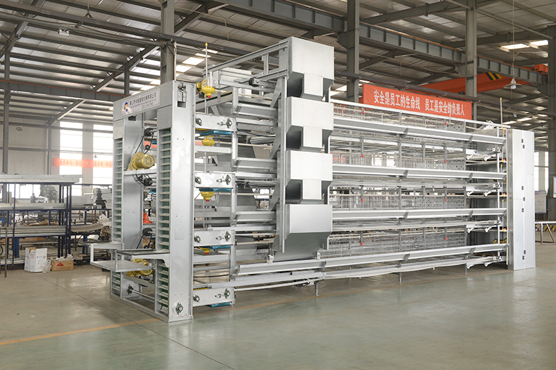 购买蛋鸡设备应该从哪些地方着手