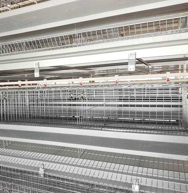 某集团肉鸡设备操作管理规范，，，，，，，，收藏吧！