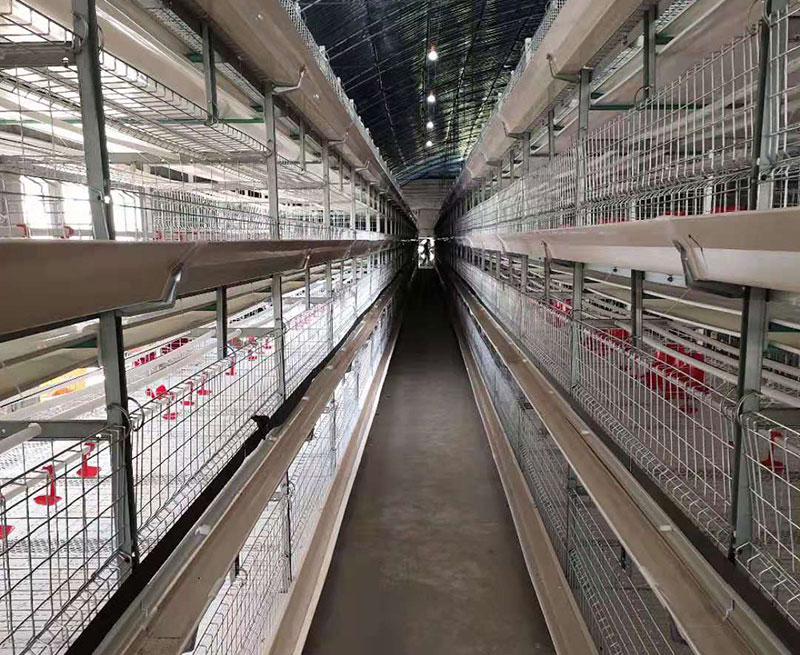 肉鸡饲养设备