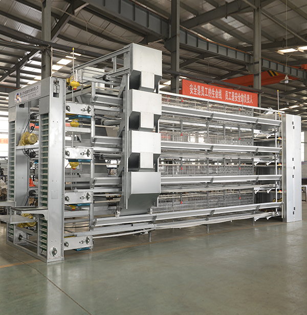 全自动养鸡设备